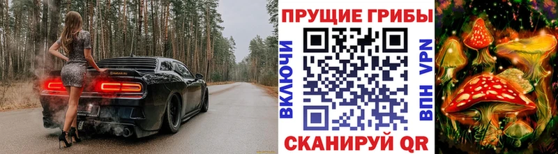 Галлюциногенные грибы GOLDEN TEACHER Купить закладки Белорецк